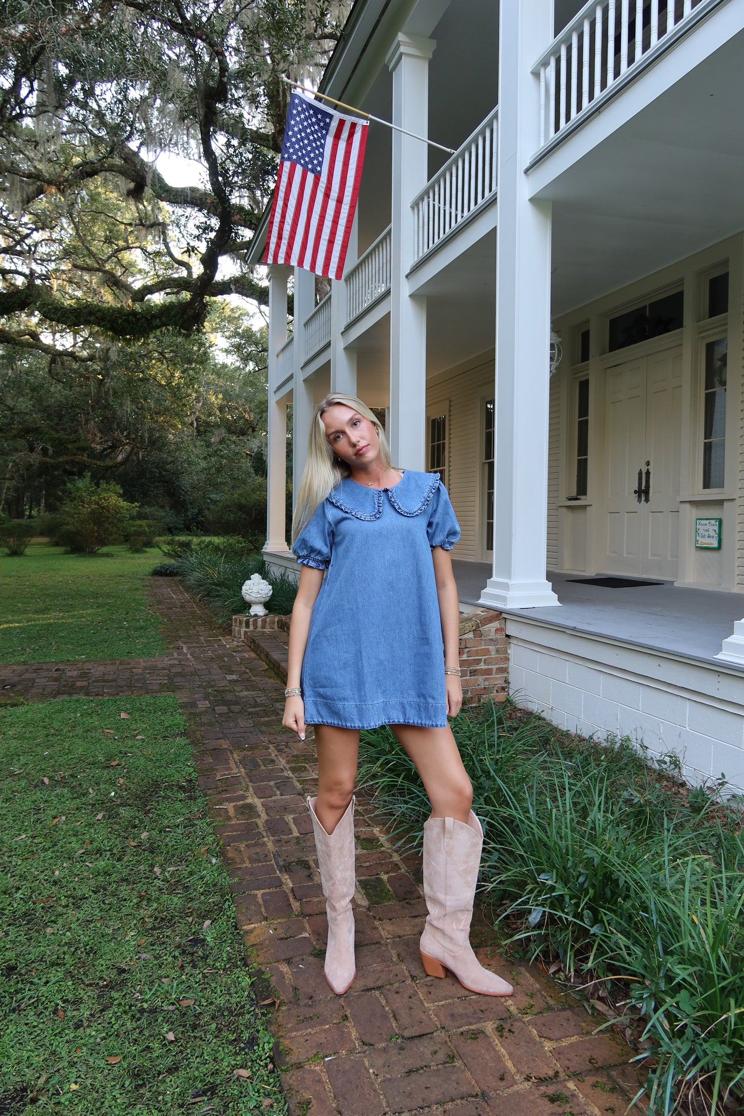 Dolly Denim Mini Dress